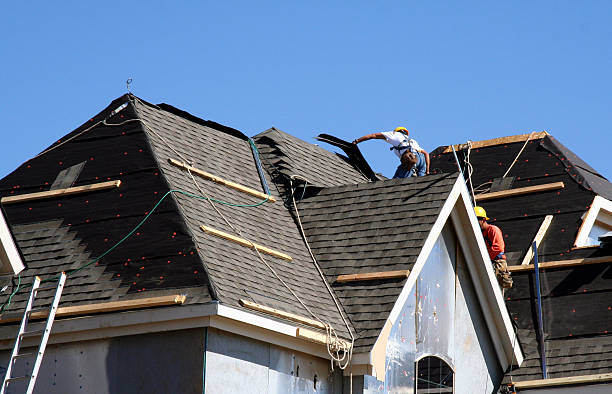 Best Flat Roof Repair Services  in Clton, IN